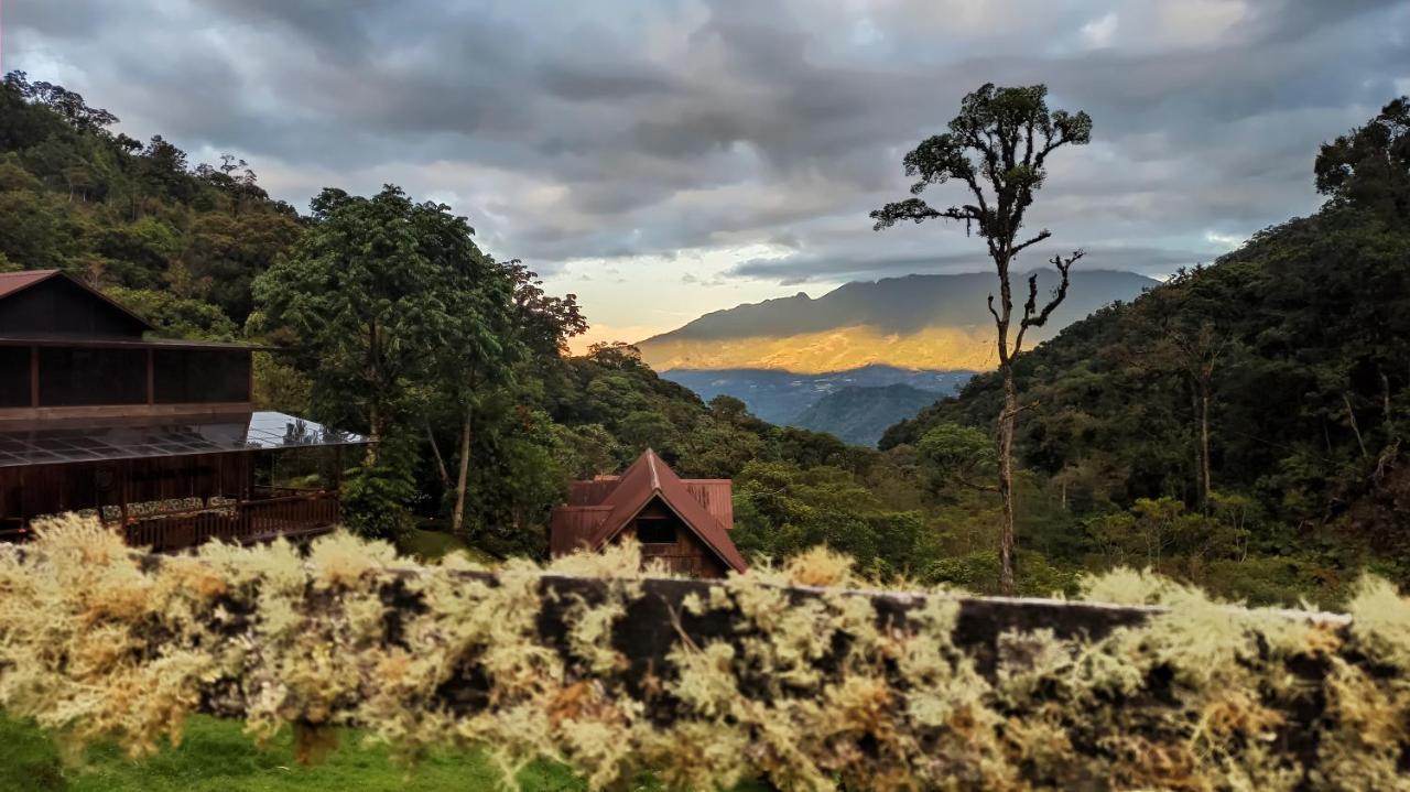 Tree Trek Boquete Adventure Park Hotel Luaran gambar