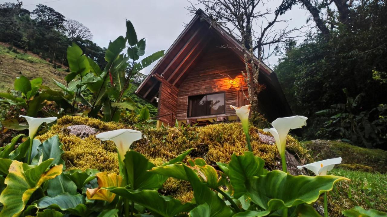 Tree Trek Boquete Adventure Park Hotel Luaran gambar