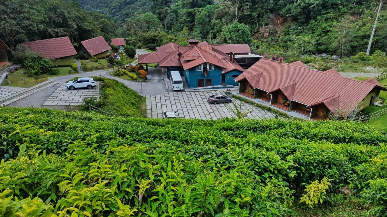 Tree Trek Boquete Adventure Park Hotel Luaran gambar