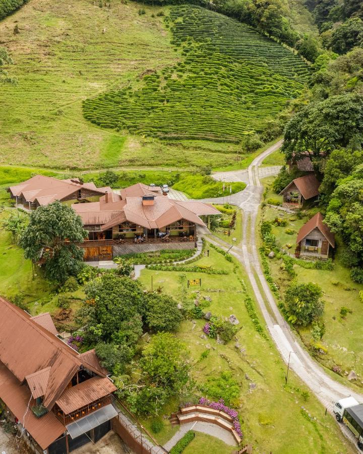 Tree Trek Boquete Adventure Park Hotel Luaran gambar