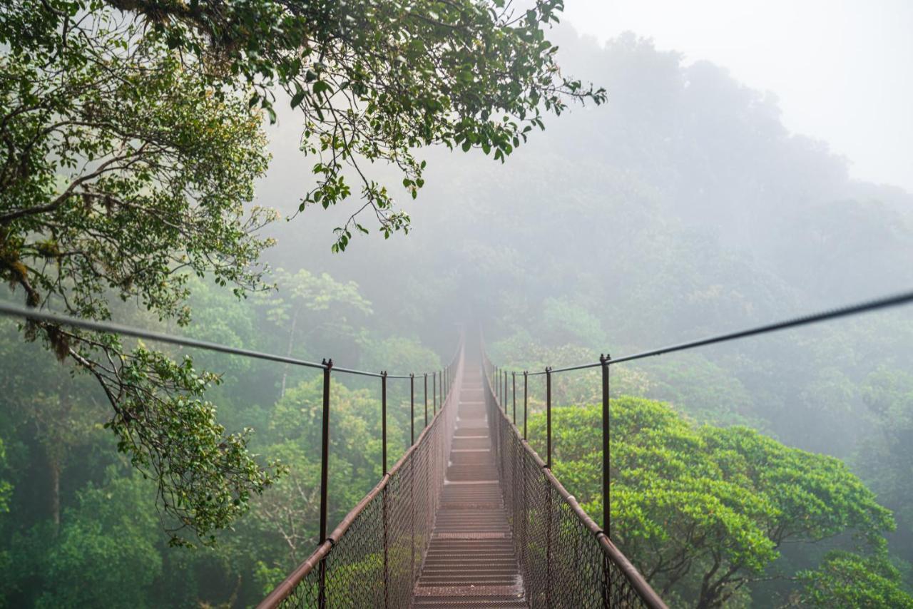 Tree Trek Boquete Adventure Park Hotel Luaran gambar