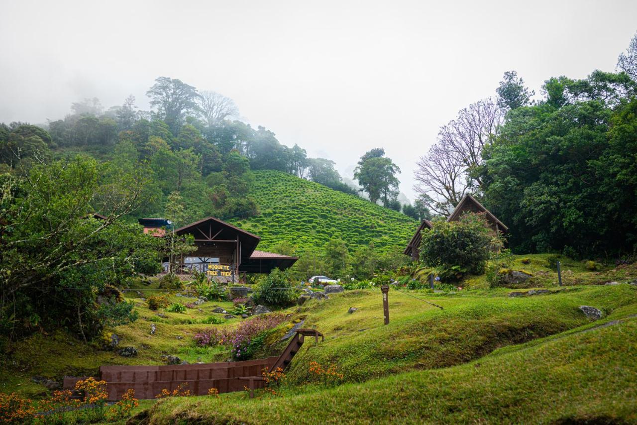 Tree Trek Boquete Adventure Park Hotel Luaran gambar