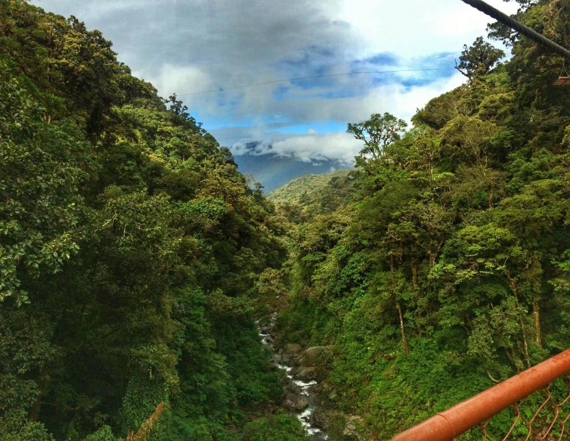 Tree Trek Boquete Adventure Park Hotel Luaran gambar