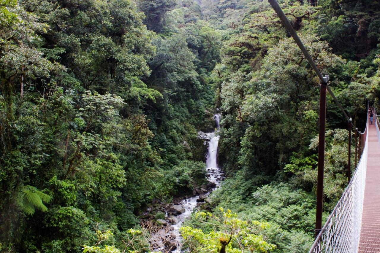 Tree Trek Boquete Adventure Park Hotel Luaran gambar