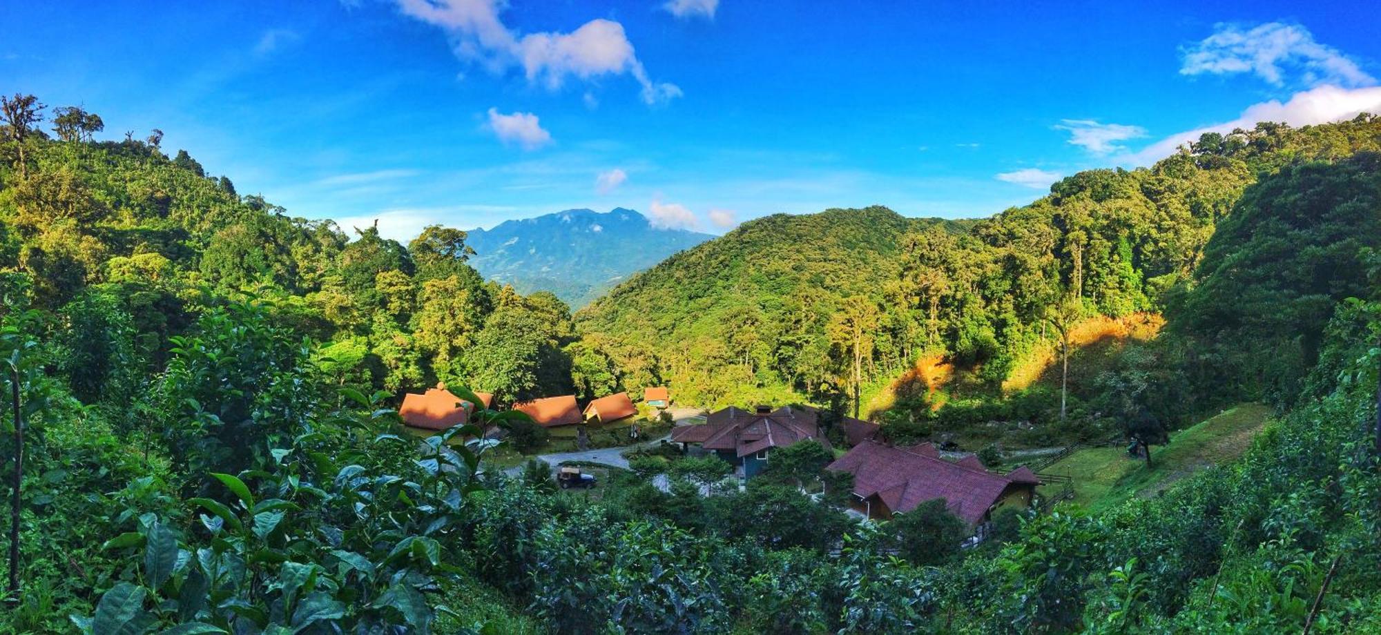 Tree Trek Boquete Adventure Park Hotel Luaran gambar