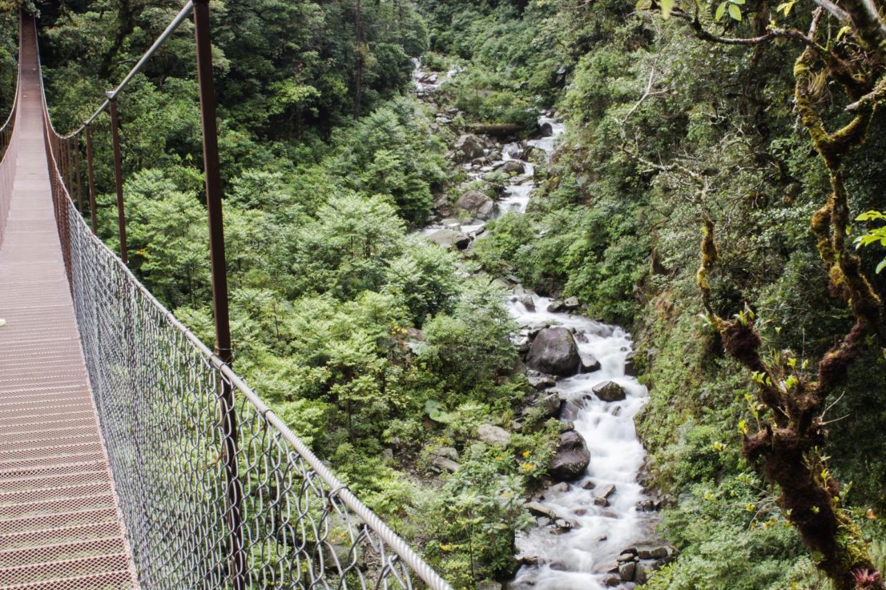 Tree Trek Boquete Adventure Park Hotel Luaran gambar