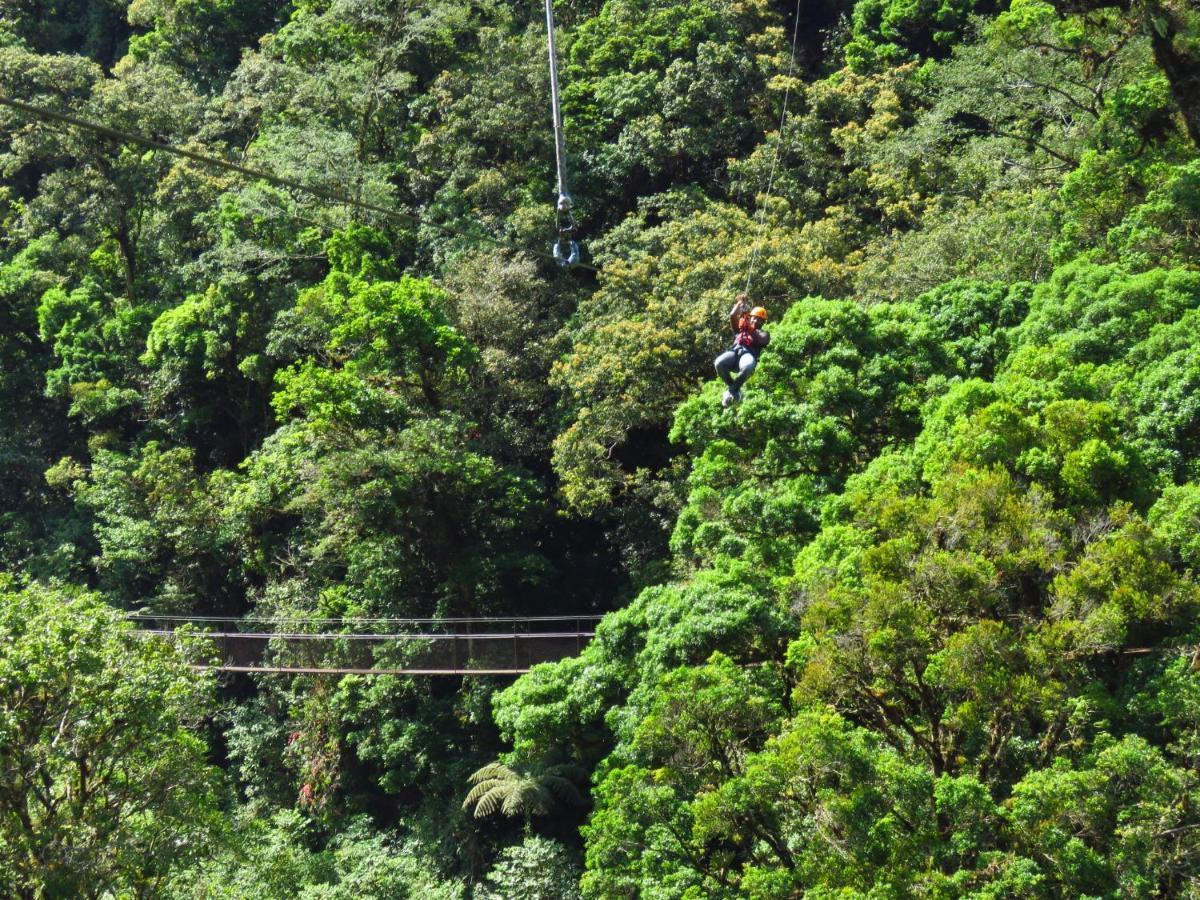 Tree Trek Boquete Adventure Park Hotel Luaran gambar